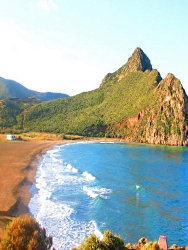 cte d'oran