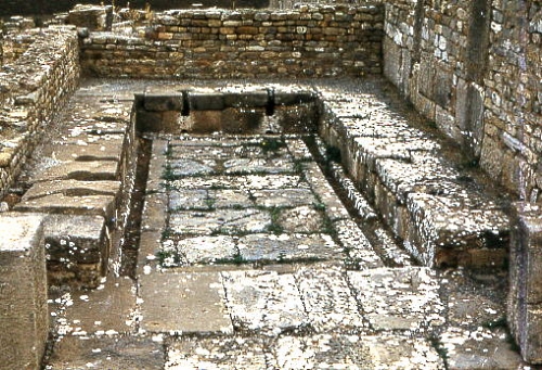 ruines de Djemila
